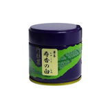 Saijoen Matcha - Jukou no Shiro 30g Ceremonial Grade Japanese Matcha Powder