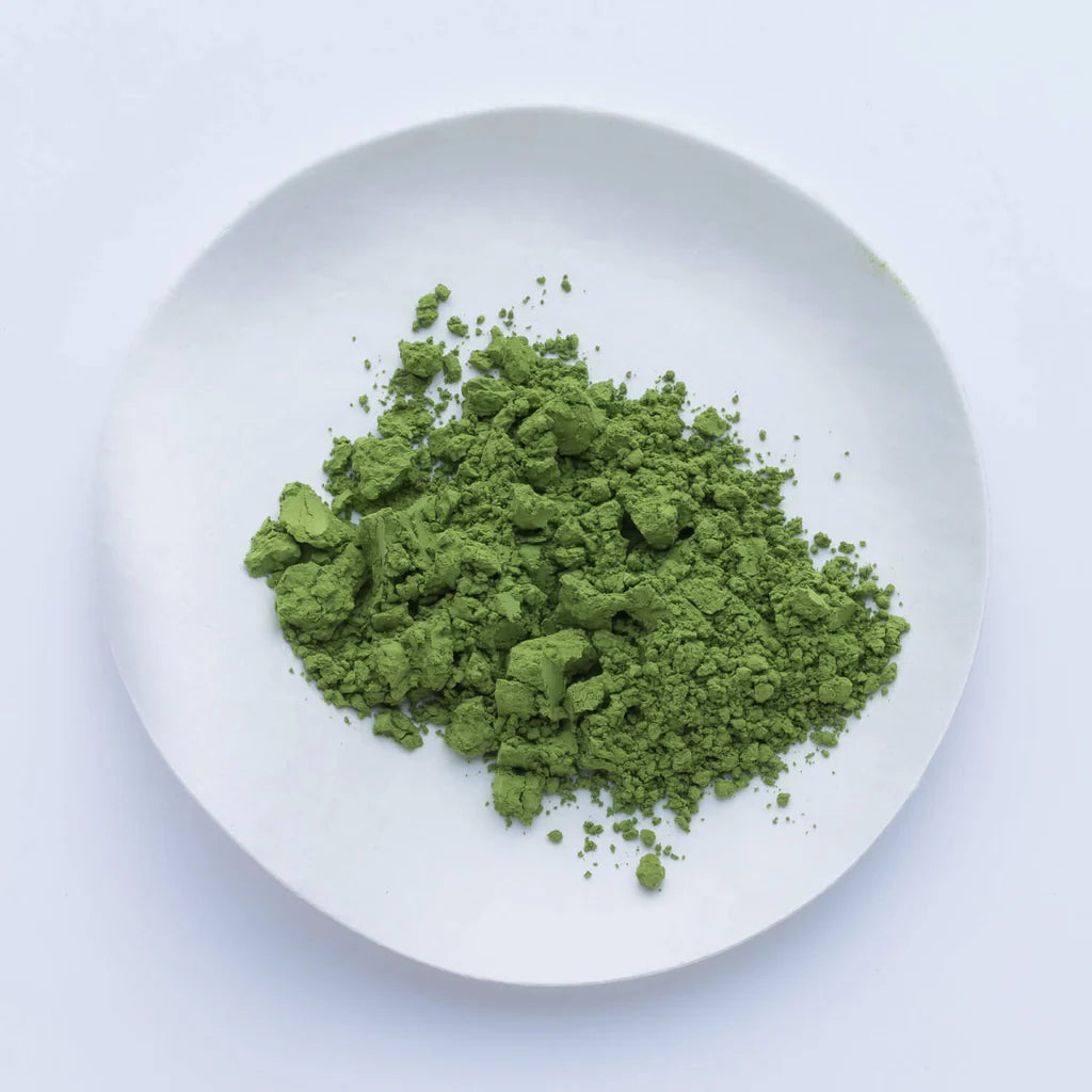 Ippodo Tea Matcha - Wakaki 20g Ceremonial Japanese Matcha Powder